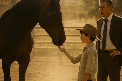 Apostó 10 Millón De Dólares A Que Nadie Domaba Su Caballo – Hasta Que Un Niño Lo Dejó Sin Palabras