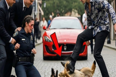 El hijo de un mafioso ataca a una oficial y a su K9 — un SEAL lo cambió todo