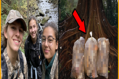 Adolescentes desaparecieron en excursión — 3 años después HALLAZGO en SACOS bajo ÁRBOL caído…