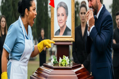 EL ATAÚD VACÍO: Cómo la mujer que limpiaba mi casa salvó a mi madre y desenmascaró a mi esposa.