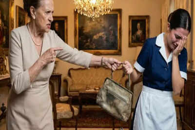 La Verdad Que El Perro Reveló: El Secreto Que Destruyó a la Familia Perfecta