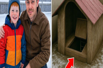 Niño desaparece jugando afuera, 8 años después su papá mira bajo la perrera del vecino…