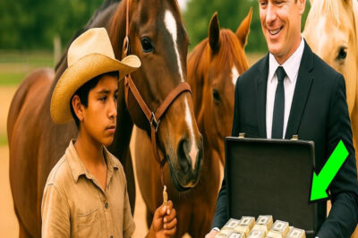 10 MILLONES SI VENCES MI MEJOR CABALLO… DIJO EL RICO AL MUCHACHO HUMILDE PERO SE QUEDÓ SIN PALABRAS