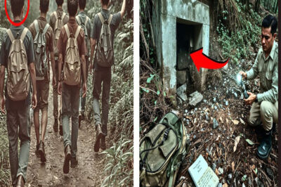 6 Adolescentes Nunca Volvieron del Campamento en 1982—33 Años Después Hallaron Un Refugio Sellado