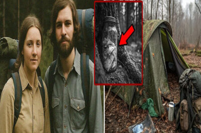 En 1972 Turistas Desaparecieron en Montaña—40 años Después Hallan Diario en Frasco Junto Árbol!