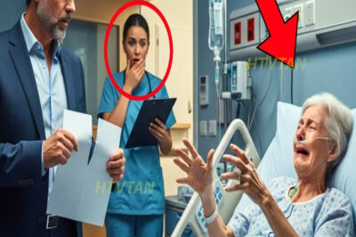 Enfermera vio millonario negar cirugía de su madre para ahorrar. Lo que ella hizo dejó el en shock…