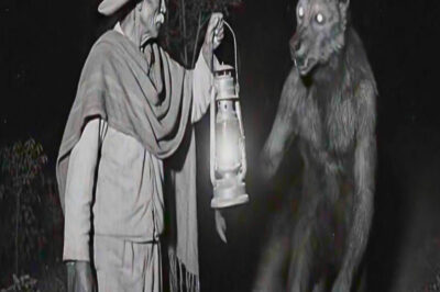 Le Dio de Comer al Nahual Durante 40 Años, Luego Descubrió Por Qué Nos Teme…