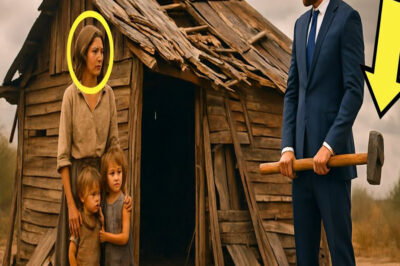 MILLONARIO VA A LA CASA DE SU EX ESPOSA DESPUÉS DE 12 AÑOS… Y SU REACCIÓN ES INESPERADA