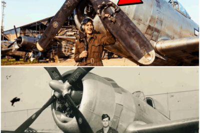 Cómo el “Estúpido” Truco de un Ingeniero con la Hélice Convirtió al P-47 en un Monstruo de 756 km/h…