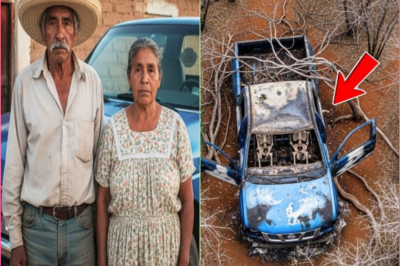 TN-Pareja de campesinos desaparece en Michoacán dejando 2 millones de pesos — 11 años después…  