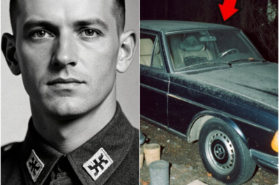 Coronel alemán huyó en 1945 — 79 años después hallan su coche, uniforme y diario secreto