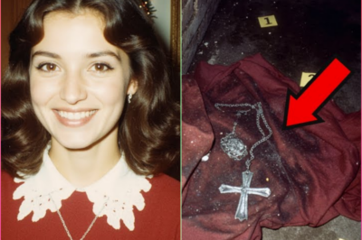 Joven Desaparece en Navidad de 1979 — 21 años después, un obrero descubre algo perturbador – 