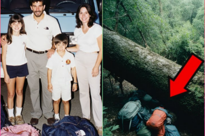 Familia se pierde en una ruta — 7 años después, bolsas bajo un árbol caído revelan la verdad