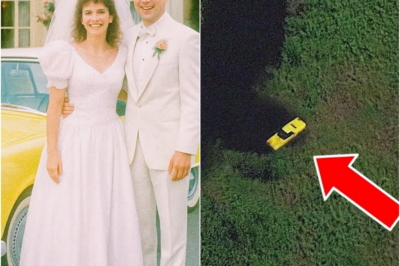 Pareja desapareció tras su boda en 1985 – 12 años después, imagen satelital revela esto…