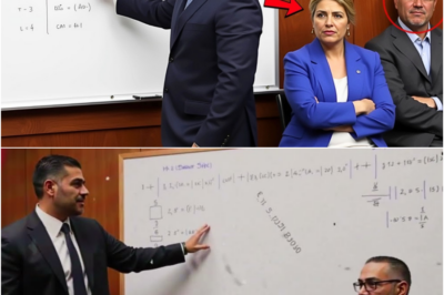 Gato callejero invade la habitación del billonario en coma… y ocurre un milagro…