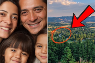 TN-Familia desapareció en 2012 en casa – 4 años después, una mujer que hacía senderismo encontró algo 