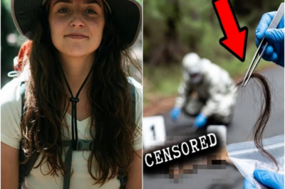 TN-Excursionista Desapareció en el sur de Utah — meses después su CABELLO hallado dentro de un COYOTE –  