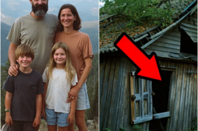 TN-Familia Desapareció Montanas —15 años después hallada en una VIEJA CABAÑA con un TERRIBLE SECRETO… 